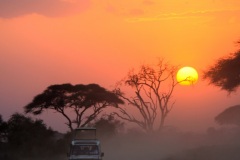 Fotoserie Kenia Safari
