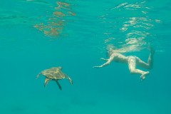 Fotoserie Hawaii Schwimmen mit Schildkröten